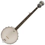 b7-a-americana-serie-banjo-5-cordes-washburn
