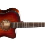 core-series-blackwood-acoustic-guitar-with-case-open-pore-light-burst