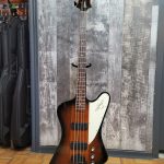gibson-2008-thunderbird-usage-used